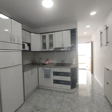 Vivienda Agaete Parque 公寓 普拉亚戴尔雷安格莱斯
